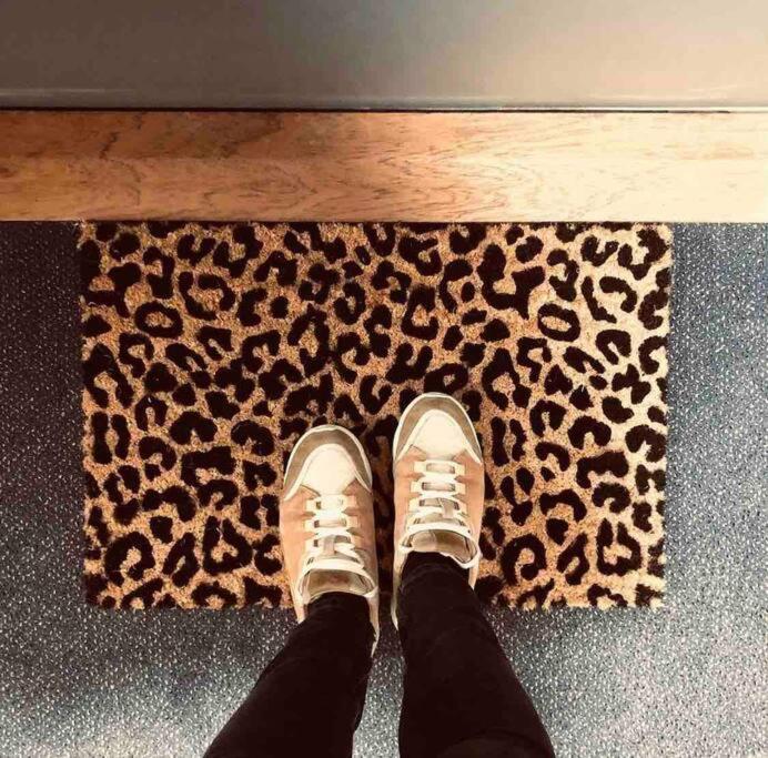 Cosy Proche